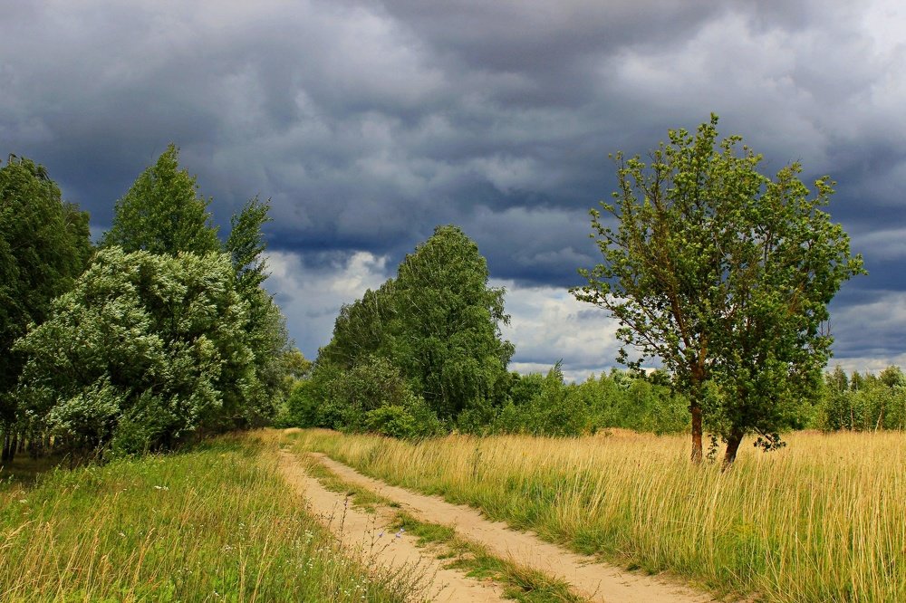 Перед дождем.