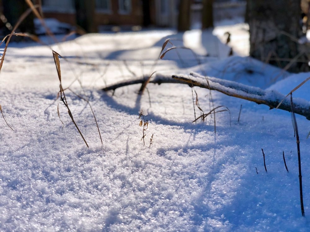 Photograph by Татьяна Пономарева