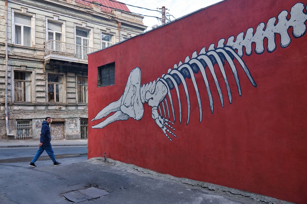 Photograph by Александр Фирстов