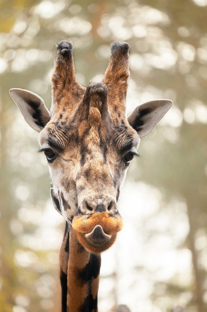 Photograph by Anna Grieta Freimane