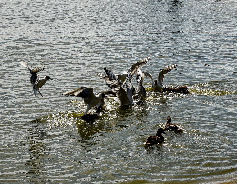 Photograph by Наталия Березина