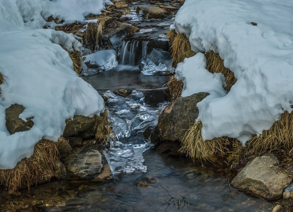 Photograph by Наталия Мостовая