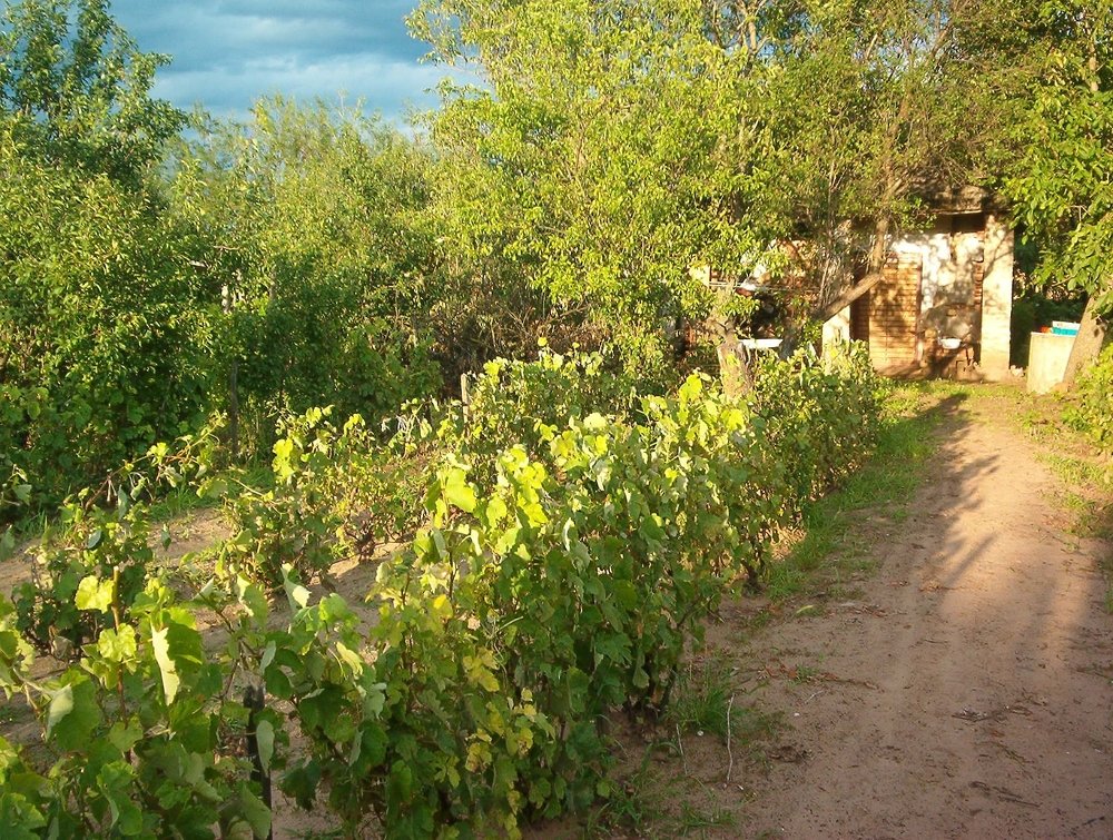 Photograph by eszter bodnár