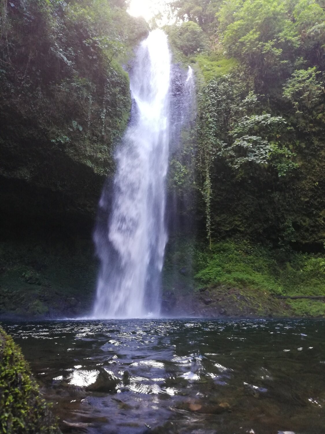 Photo #4184620