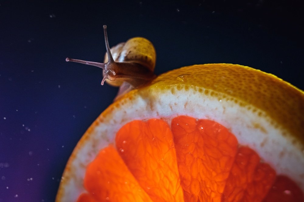 Photograph by Тимофей