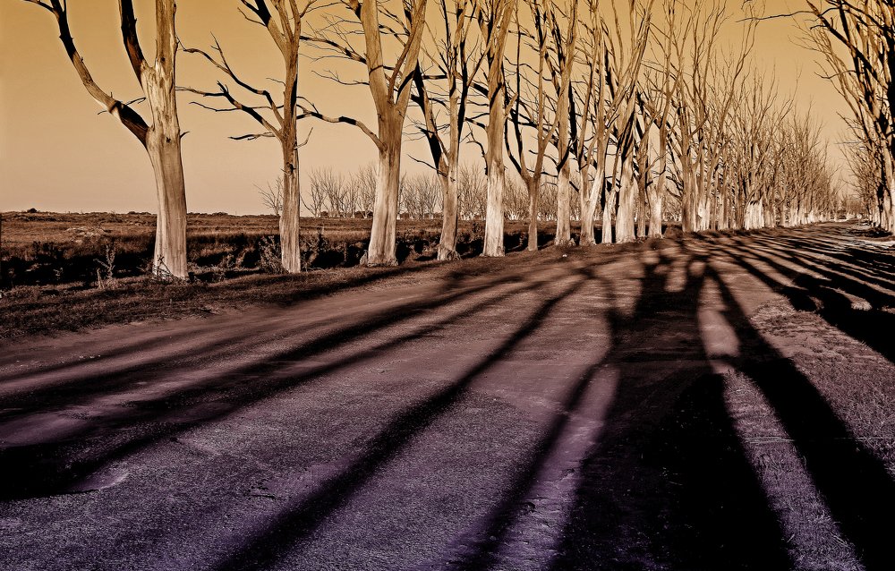 Photograph by Viviana García