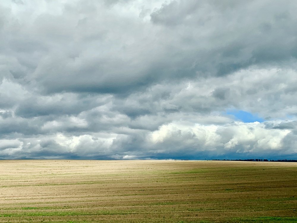 Photograph by  Ксения Максименко