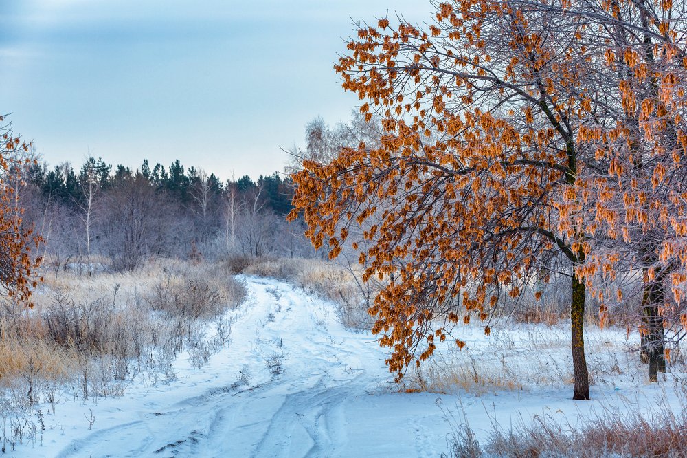 Фотография автора Александр Копанёв