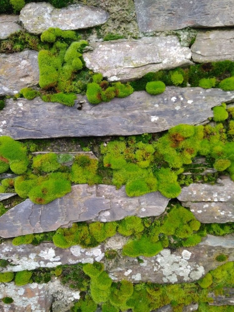 Фотография автора Gabriele Edel