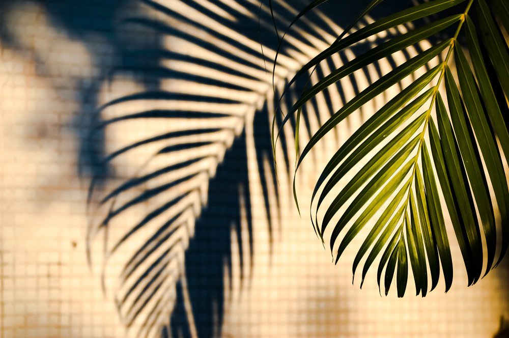 Photograph by Andre Nunes