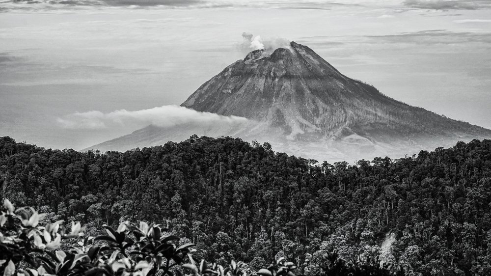 Фотография автора Eduardo Teixeira de Sousa