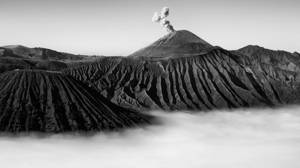 Photograph by Eduardo Teixeira de Sousa