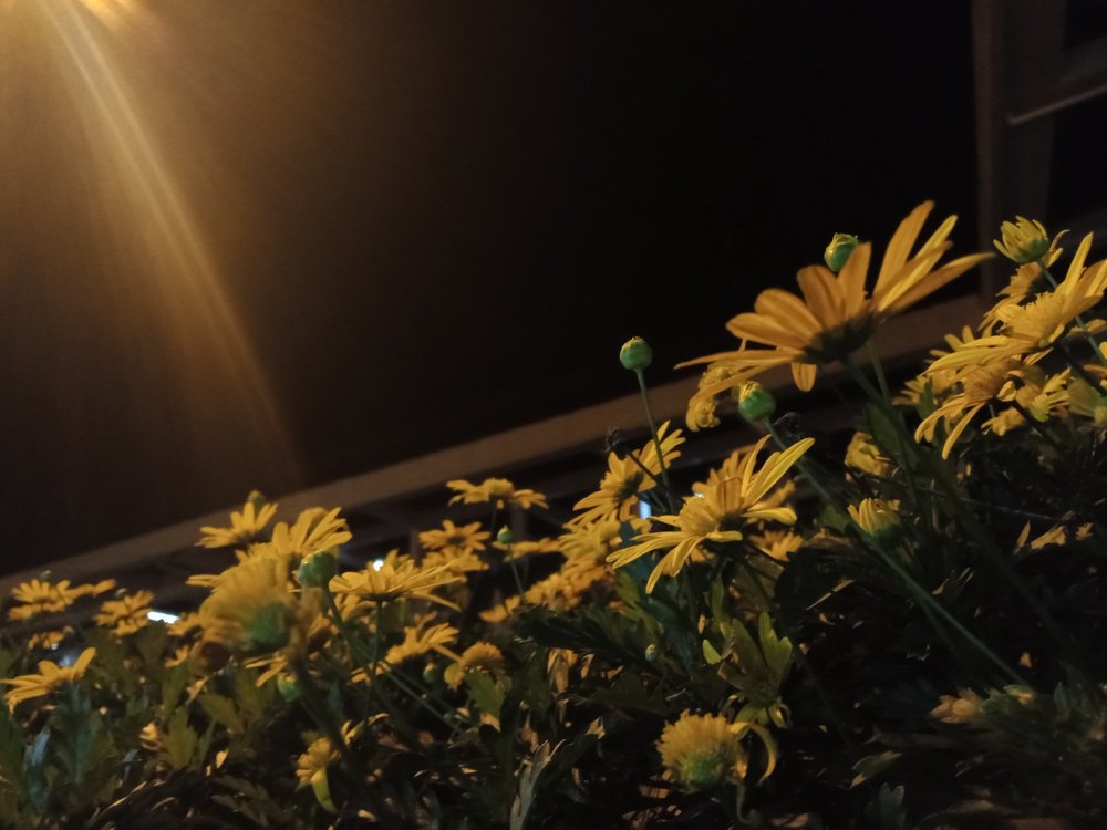 Photograph by Regie M. Marcos