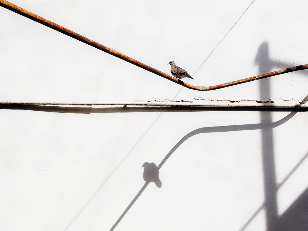 Фотография автора Eduardo Teixeira de Sousa