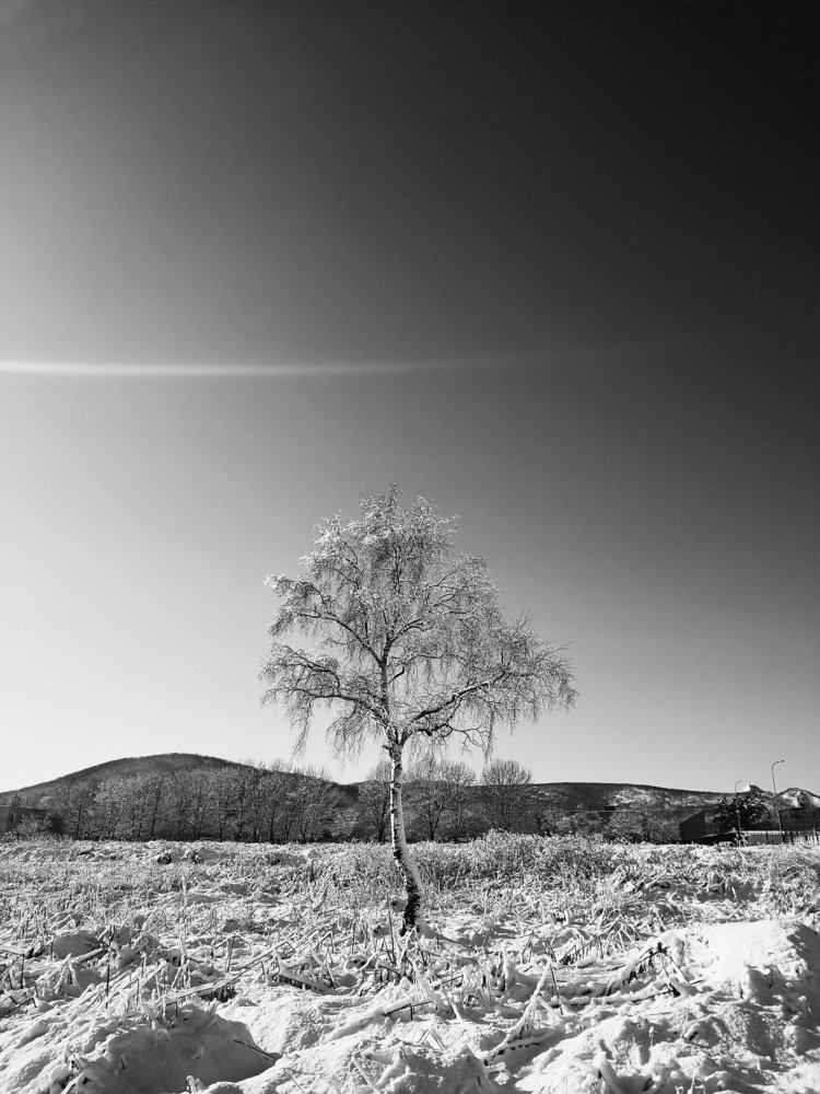 Photograph by Наина Касаева