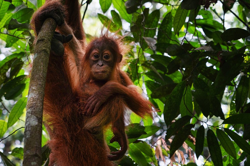 Фотография автора Eduardo Teixeira de Sousa