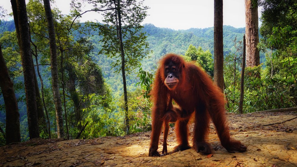 Фотография автора Eduardo Teixeira de Sousa