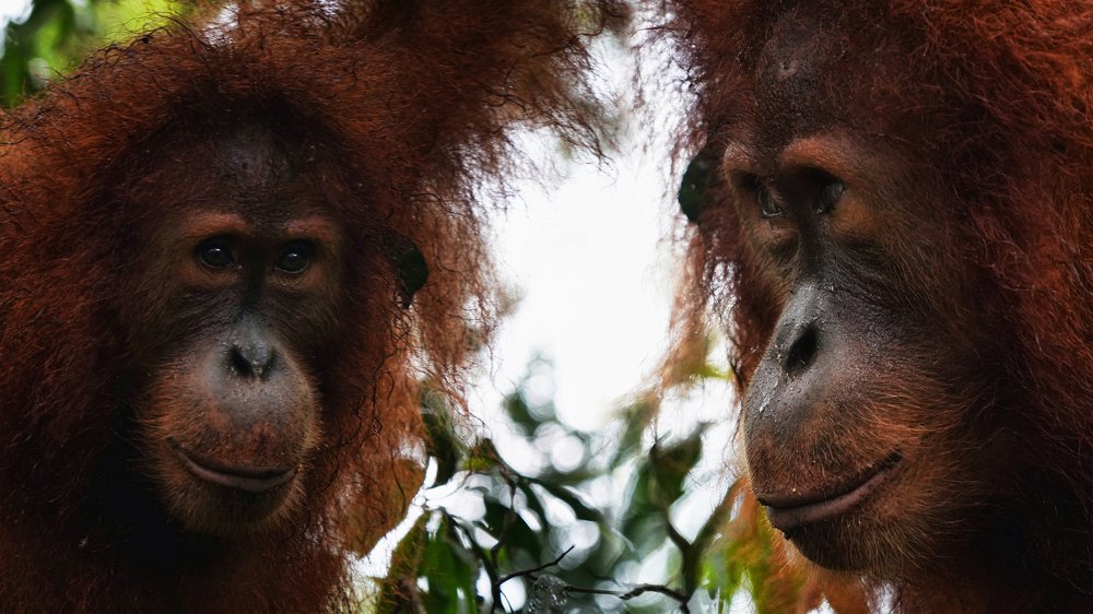 Фотография автора Eduardo Teixeira de Sousa
