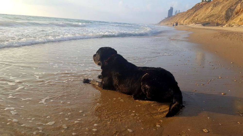 Созерцание...