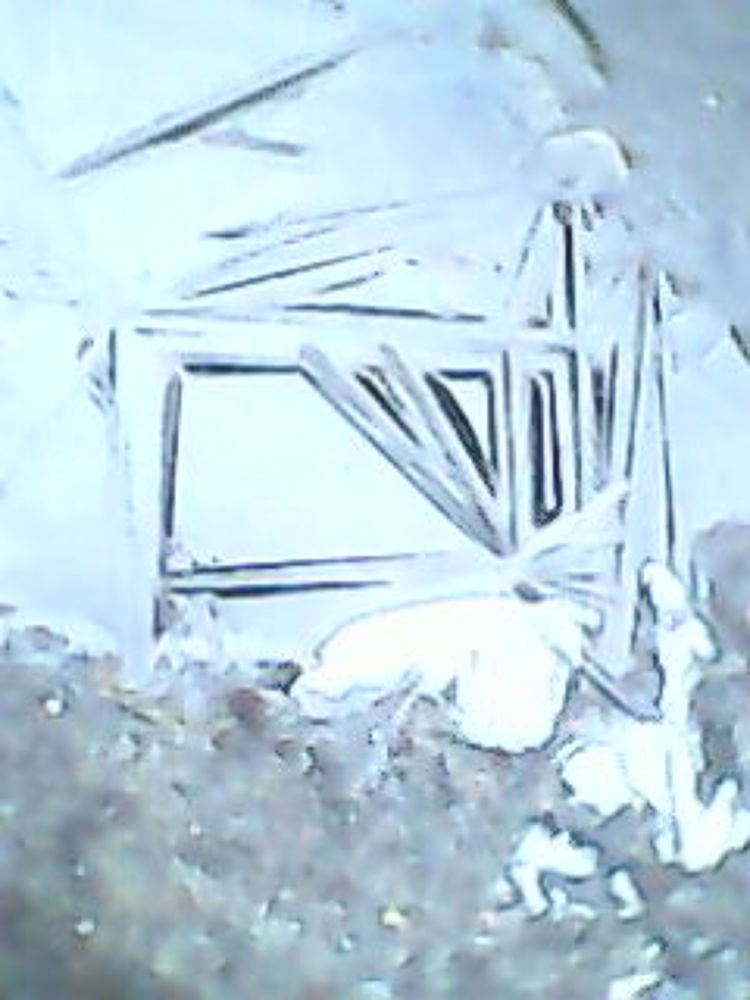 Ледяная лужа