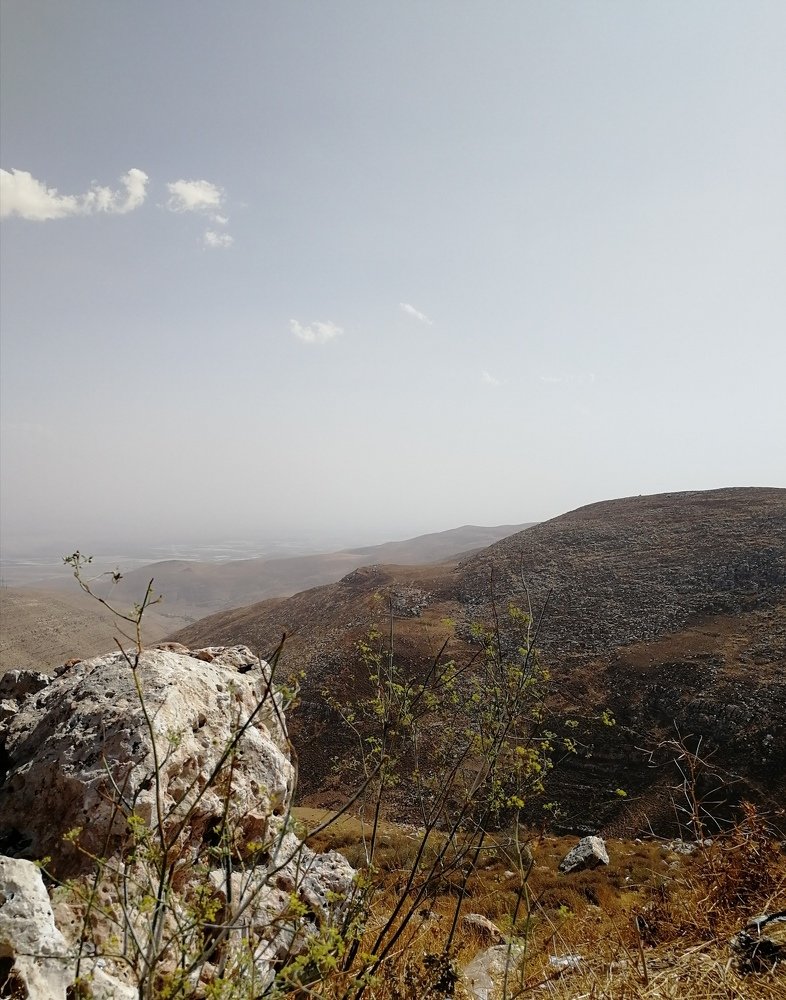 Безмолвие.....