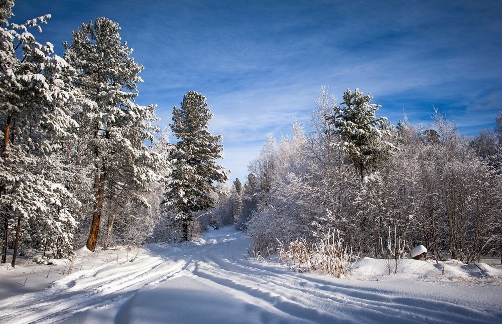 Photograph by Михаил Шергин-Леонов