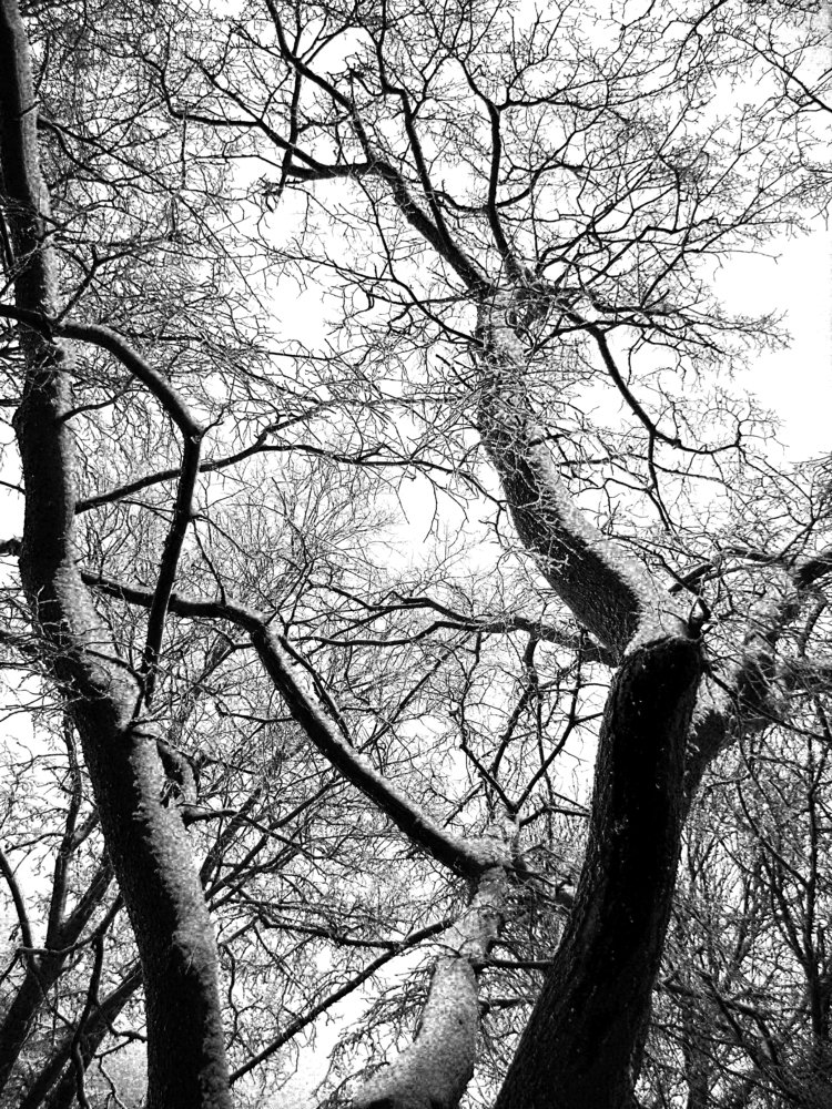 Графика зимы