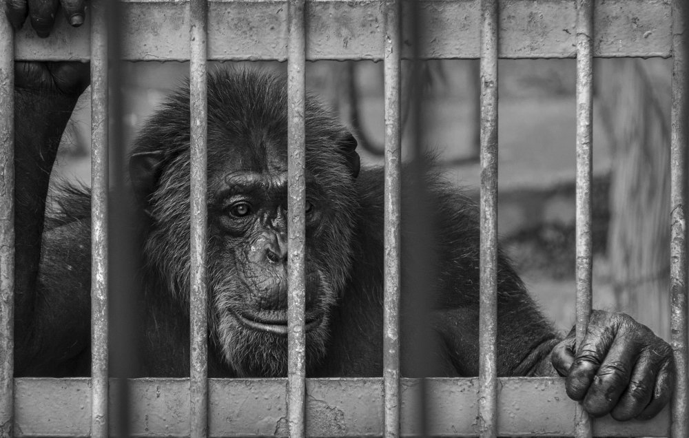 Photograph by Amir Reza Mir Hosseini AmiReza