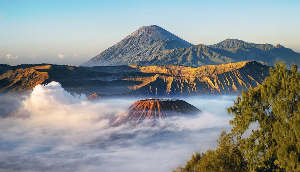 Photograph by Eduardo Teixeira de Sousa