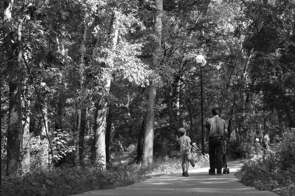 Photograph by Елизавета Желудкова