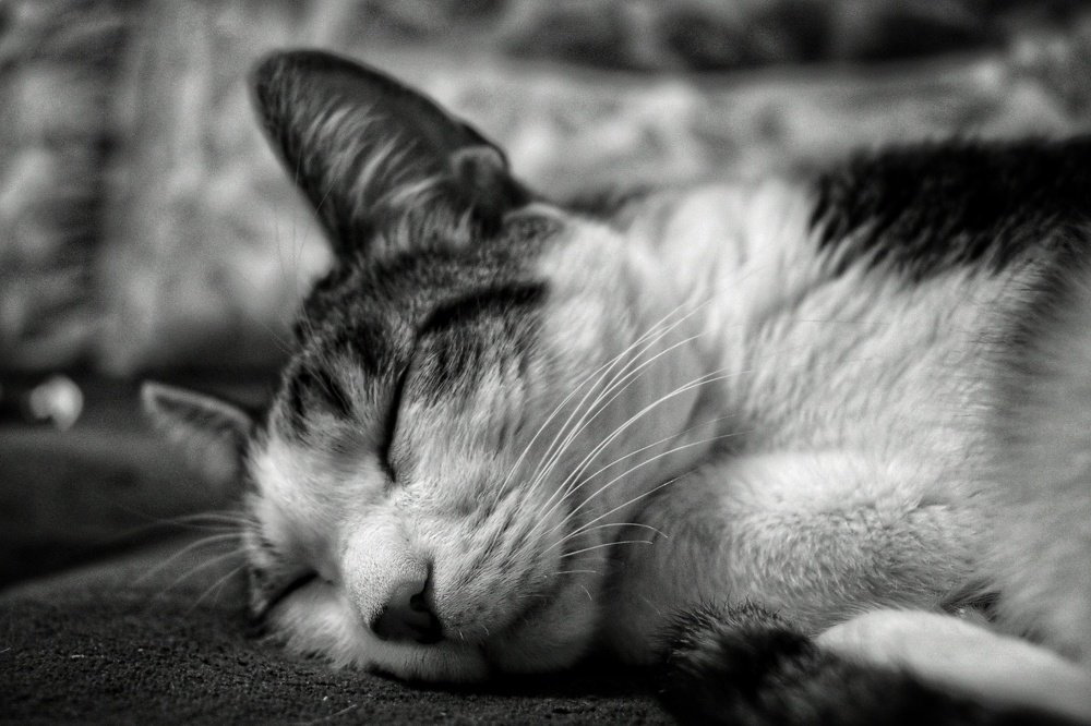 Photograph by Ольга Пономарева