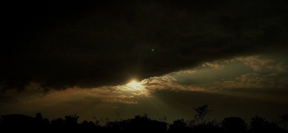 Photo #4185318