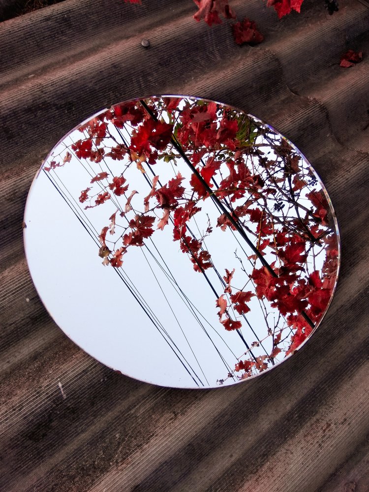 Photograph by Юлия Мищенко