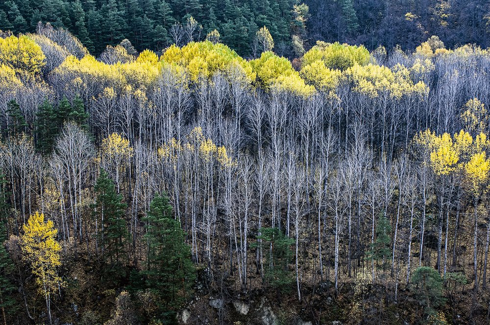 Фотография автора Михаил Пшеннов