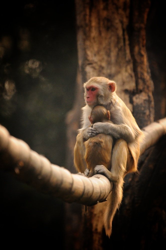 Photograph by SUMANT TRINAGARE