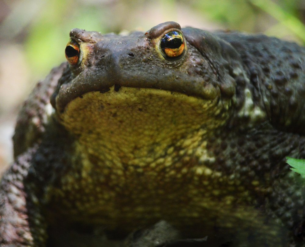 Фотография автора Сергей Суворов