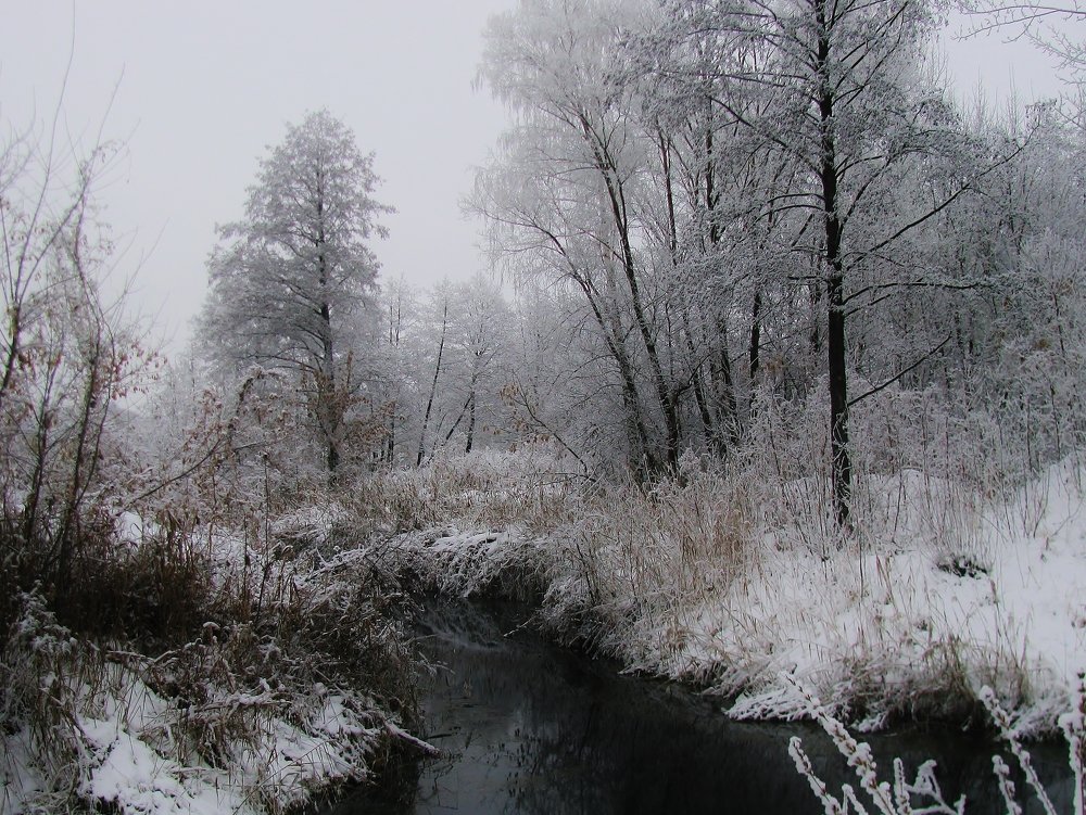 Photograph by Виктор Карпухин