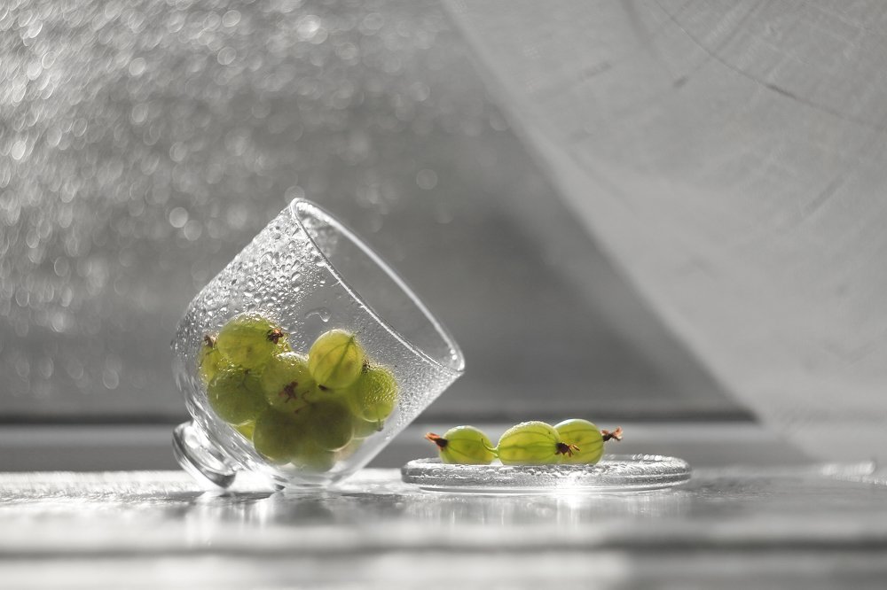 Натюрморт с крыжовником