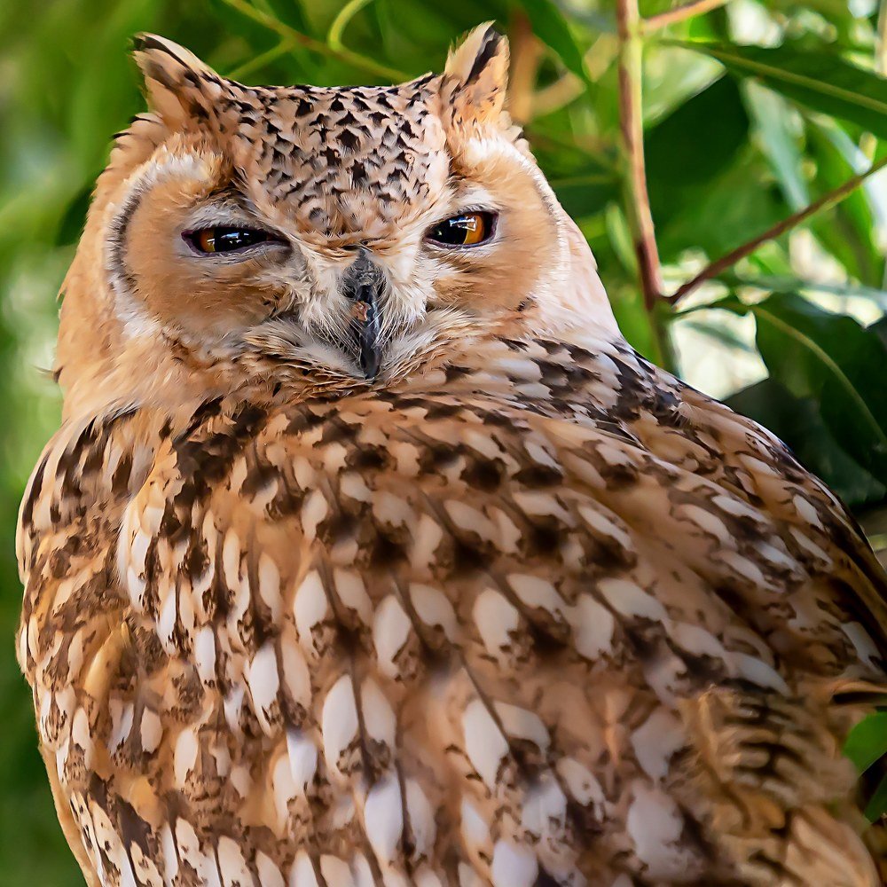 Photograph by Elena Gebert