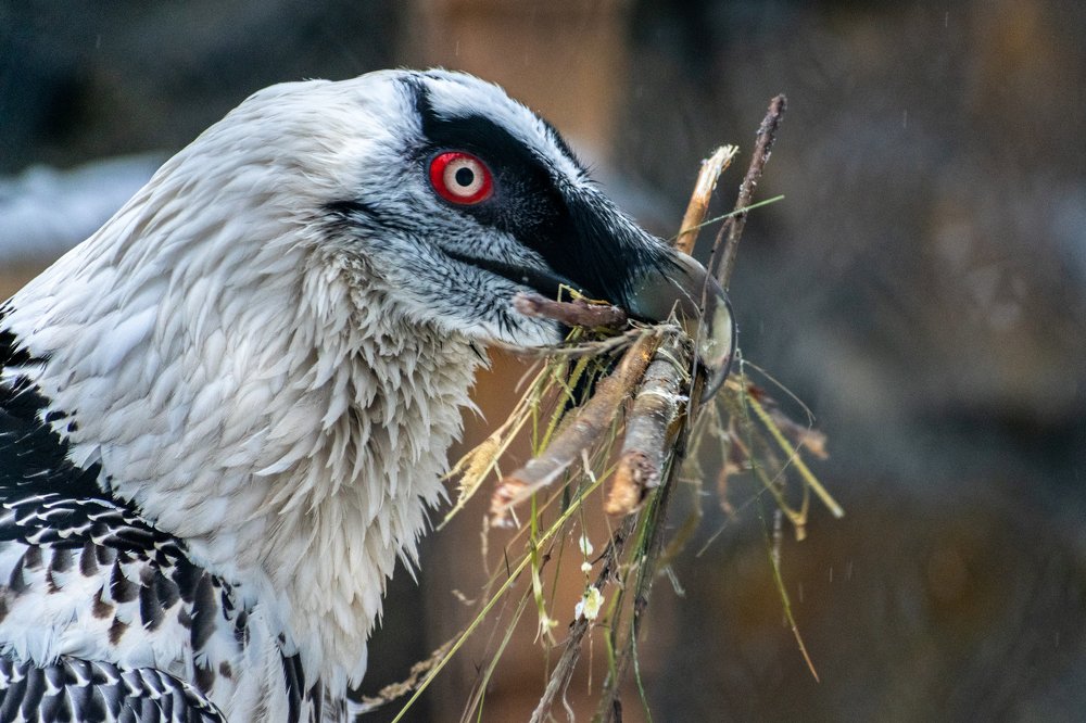 Photograph by Юлия Боровкова