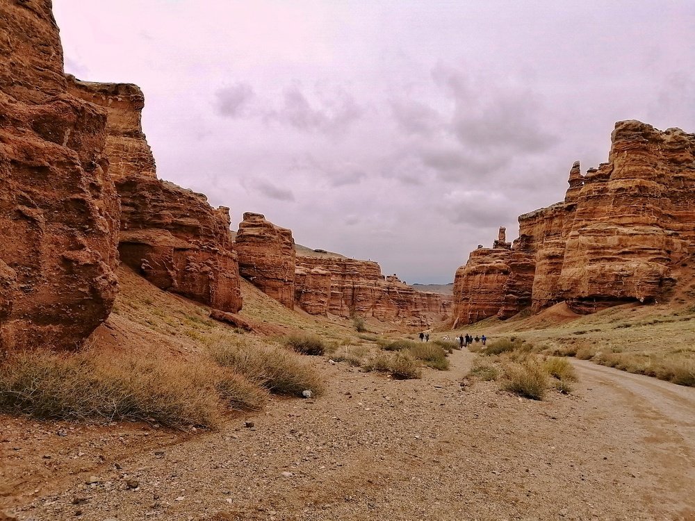 Photograph by Олеся Пинская