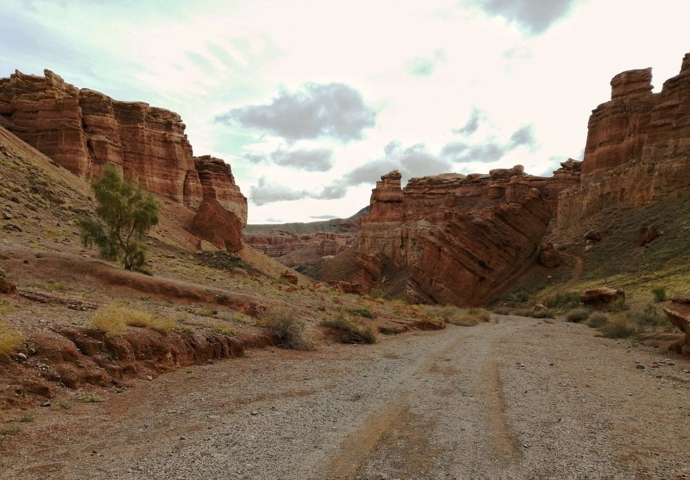 Photograph by Олеся Пинская