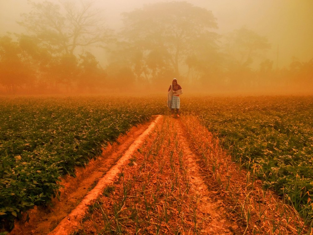 A Perfect Frame of Love