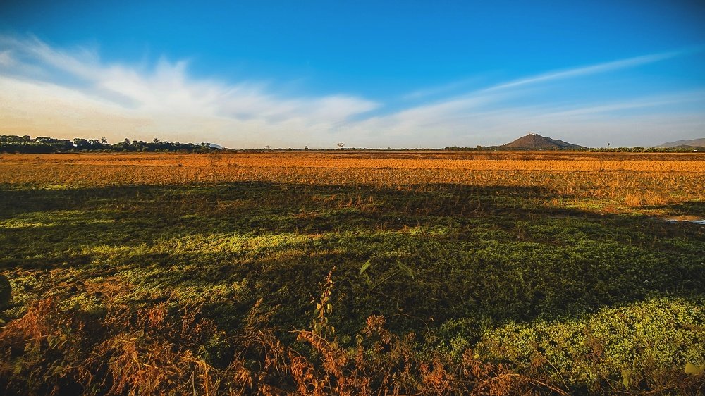 Photograph by Sai Swam Kham