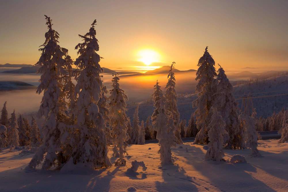 Photograph by Михаил Потапов