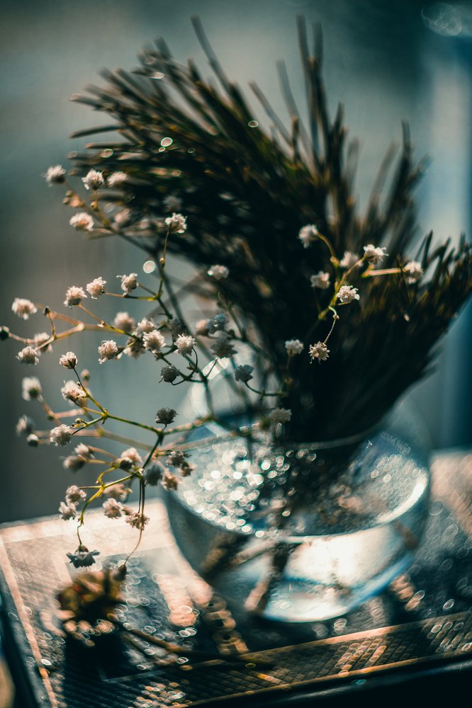 Photograph by Шаромов Иван