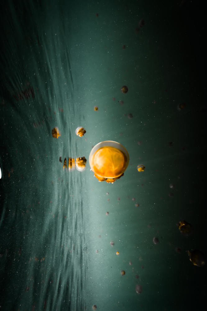 Photograph by YongHoon Choi