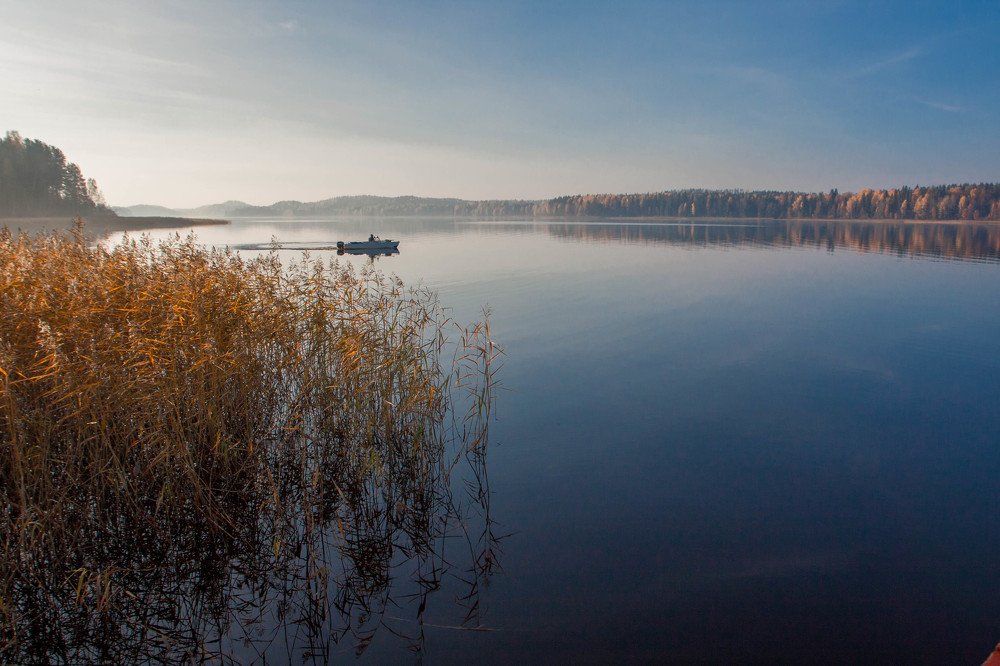 Photograph by Александр Кузнецов