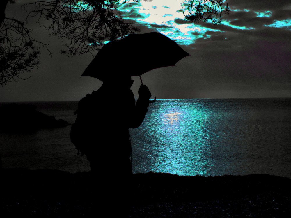 Photograph by Josep M. Bove Veciana