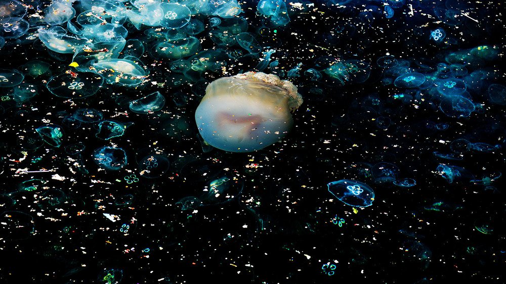 Photograph by Bekir Yesiltas